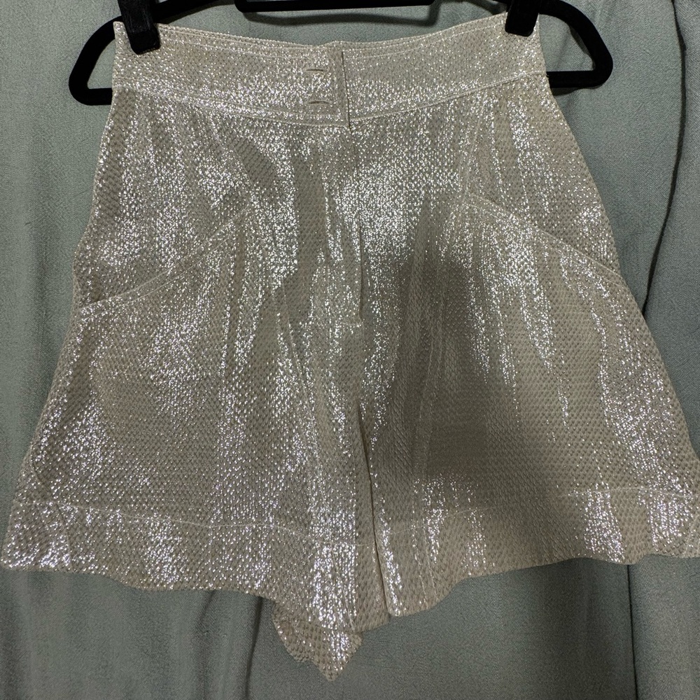 Fendi Metallic Silver Fabric